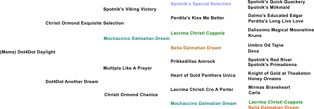 (Mama) Dot4Dot Daylight Christi Ormond Exquisite Selection Spotnik's Viking Victory Mochaccino Dalmatian Dream Dot4Dot Another Dream Multipla Like A Prayer Christi Ormond Chanice Perdita's Kiss Me Better Lacrima Christi Coppola Bella Dalmatian Dream Prikkedillas Amrock Heart of Gold Panthera Unica Lacrima Christi Cro A Porter Mochaccino Dalmatian Dream Spotnik's Special Selection Spotnik's Quick Quackery Spotnik's Milkmaid Dalmo's Educated Edgar Perdita's Long Live Love Dalissimo Magical Moonshine Kruna Umbro Od Tajne Deva Spotnik's Red River  Spotnik's Primadonna Knight of Gold at Theakston Honey Ornamo Mirmas Braveheart Carla Lacrima Christi Coppola Bella Dalmatian Dream