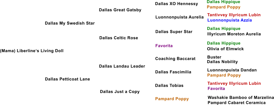 (Mama) Liberline�s Living Doll Dallas My Swedish Star Dallas Great Gatsby Dallas Celtic Rose Dallas Petticoat Lane Dallas Landau Leader Dallas Just a Copy Luonnonpuista Aurelia Dallas Super Star Favorita Coaching Baccarat Dallas Fascimilia Dallas Tobias Pampard Poppy Dallas XO Hennessy Dallas Hippique Pampard Poppy Tantivvey Illyricum Lubin Luonnonpuista Azzia Dallas Hippique Illyricum Moreton Aurelia Dallas Hippique Olivia of Elmwick Buster Dallas Nobility Luonnonpuista Dandan Pampard Poppy Tantivvey Illyricum Lubin Favorita Washakie Bamboo of Marzelina Pampard Cabaret Ceramica