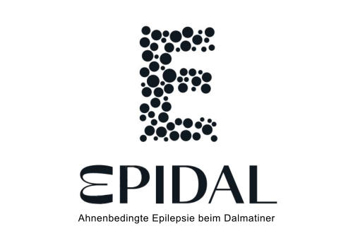 Ahnenbedingte Epilepsie beim Dalmatiner