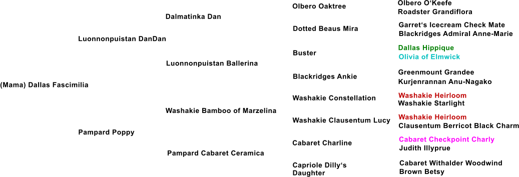 (Mama) Dallas Fascimilia Luonnonpuistan DanDan Dalmatinka Dan Luonnonpuistan Ballerina Pampard Poppy Washakie Bamboo of Marzelina Pampard Cabaret Ceramica Dotted Beaus Mira Buster Blackridges Ankie Washakie Constellation Washakie Clausentum Lucy Cabaret Charline Capriole Dilly�s Daughter Olbero Oaktree Olbero O�Keefe Roadster Grandiflora Garret�s Icecream Check Mate Blackridges Admiral Anne-Marie Dallas Hippique Olivia of Elmwick Greenmount Grandee Kurjenrannan Anu-Nagako Washakie Heirloom Washakie Starlight Washakie Heirloom Clausentum Berricot Black Charm Cabaret Checkpoint Charly Judith Illyprue Cabaret Withalder Woodwind Brown Betsy
