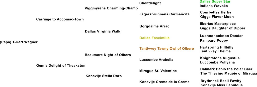 (Papa) T-Cart Wagner Carriage to Accomac-Town Viggmyrens Charming-Champ Dallas Virginia Walk Gem�s Delight of Theakston Beaumore Night of Olbero Konavlje Stella Doro J�gersbrunnens Carmencita Borgdalms Arrac Dallas Fascimilia Tantivvey Tawny Owl of Olbero Luccombe Arabella Miragua St. Valentine Konavlje Creme de la Creme Cheifdelight Dallas Super Star Indians Wovoka Courbettes Herby Giggs Flavor Moon Ilbertas Masterpiece Giggs Daughter of Dipper Luonnonpuiston Dandan Pampard Poppy Hartspring Hillbilly Tantivvey Thelma Knightstone Augustus Luccombe Pollyana Dalmark Pablo the Polar Baer The Thieving Magpie of Miragua Brythnnek Basil Fawlty Konavlje Miss Fabulous