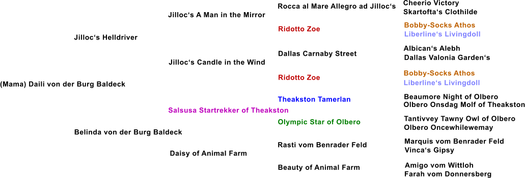 (Mama) Daili von der Burg Baldeck Jilloc�s Helldriver Jilloc�s A Man in the Mirror Jilloc�s Candle in the Wind Belinda von der Burg Baldeck Salsusa Startrekker of Theakston Daisy of Animal Farm Ridotto Zoe Dallas Carnaby Street Ridotto Zoe Theakston Tamerlan Olympic Star of Olbero Rasti vom Benrader Feld Beauty of Animal Farm Rocca al Mare Allegro ad Jilloc�s Cheerio Victory Skartofta�s Clothilde Bobby-Socks Athos Liberline�s Livingdoll Albican�s Alebh Dallas Valonia Garden�s Bobby-Socks Athos Liberline�s Livingdoll Beaumore Night of Olbero Olbero Onsdag Molf of Theakston Tantivvey Tawny Owl of Olbero Olbero Oncewhilewemay Marquis vom Benrader Feld Vinca�s Gipsy Amigo vom Wittloh Farah vom Donnersberg
