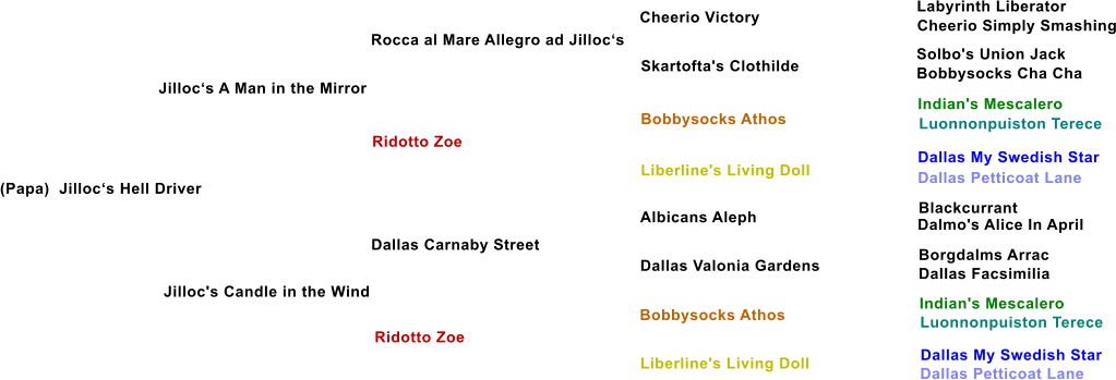 (Papa)  Jilloc�s Hell Driver  Jilloc�s A Man in the Mirror Rocca al Mare Allegro ad Jilloc�s Ridotto Zoe  Jilloc's Candle in the Wind  Dallas Carnaby Street Ridotto Zoe Skartofta's Clothilde Bobbysocks Athos Liberline's Living Doll Albicans Aleph Dallas Valonia Gardens Bobbysocks Athos  Liberline's Living Doll Cheerio Victory Labyrinth Liberator Cheerio Simply Smashing Solbo's Union Jack Bobbysocks Cha Cha   Indian's Mescalero  Luonnonpuiston Terece  Dallas My Swedish Star  Dallas Petticoat Lane Blackcurrant Dalmo's Alice In April Borgdalms Arrac Dallas Facsimilia Indian's Mescalero  Luonnonpuiston Terece Dallas My Swedish Star 	 Dallas Petticoat Lane
