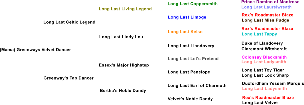 (Mama) Greenways Velvet Dancer Long Last Celtic Legend Long Last Living Legend Long Last Lindy Lou Greenway's Tap Dancer Essex's Major Highstep Bertha's Noble Dandy Long Last Limoge Long Last Kelso Long Last Llandovery Long Last Let's Pretend Long Last Penelope Long Last Earl of Charmuth Velvet's Noble Dandy Long Last Coppersmith Prince Domino of Montrose Long Last Laurelwreath  Rex's Roadmaster Blaze Long Last Miss Pudge Rex's Roadmaster Blaze Long Last Tappy Duke of Llandovery Claremont Witchcraft Colonsay Blacksmith Long Last Ladysmith Long Last Toy Tiger Long Last Look Sharp Duxfordham Yessam Marquis Long Last Ladysmith Rex's Roadmaster Blaze Long Last Velvet