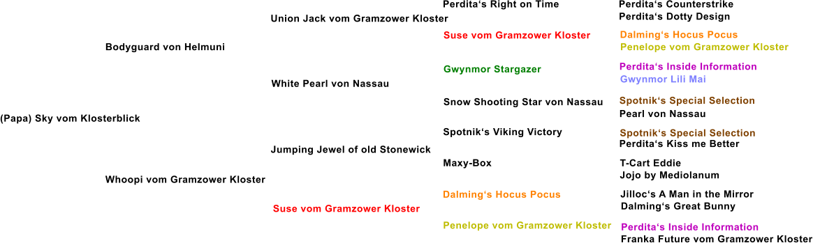 Bodyguard von Helmuni Union Jack vom Gramzower Kloster White Pearl von Nassau Whoopi vom Gramzower Kloster Jumping Jewel of old Stonewick Suse vom Gramzower Kloster Suse vom Gramzower Kloster Gwynmor Stargazer Snow Shooting Star von Nassau Spotnik�s Viking Victory Maxy-Box Dalming�s Hocus Pocus Penelope vom Gramzower Kloster Perdita�s Right on Time Perdita�s Counterstrike Perdita�s Dotty Design Dalming�s Hocus Pocus Penelope vom Gramzower Kloster Perdita�s Inside Information Gwynmor Lili Mai Spotnik�s Special Selection Pearl von Nassau Spotnik�s Special Selection Perdita�s Kiss me Better T-Cart Eddie Jojo by Mediolanum Jilloc�s A Man in the Mirror Dalming�s Great Bunny Perdita�s Inside Information Franka Future vom Gramzower Kloster (Papa) Sky vom Klosterblick