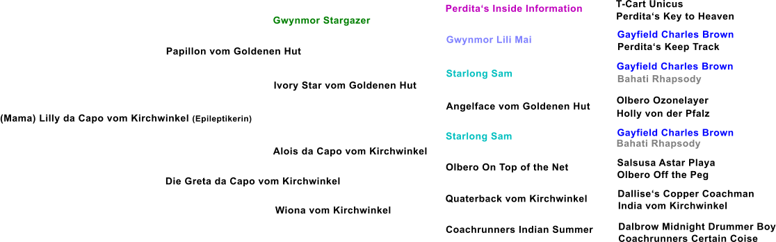 Papillon vom Goldenen Hut Gwynmor Stargazer Ivory Star vom Goldenen Hut Die Greta da Capo vom Kirchwinkel Alois da Capo vom Kirchwinkel Wiona vom Kirchwinkel Gwynmor Lili Mai Starlong Sam Angelface vom Goldenen Hut Starlong Sam Olbero On Top of the Net Quaterback vom Kirchwinkel Coachrunners Indian Summer Perdita�s Inside Information T-Cart Unicus Perdita�s Key to Heaven Gayfield Charles Brown Perdita�s Keep Track Gayfield Charles Brown Bahati Rhapsody Olbero Ozonelayer Holly von der Pfalz Gayfield Charles Brown Bahati Rhapsody Salsusa Astar Playa Olbero Off the Peg Dallise�s Copper Coachman India vom Kirchwinkel Dalbrow Midnight Drummer Boy Coachrunners Certain Coise (Mama) Lilly da Capo vom Kirchwinkel (Epileptikerin)